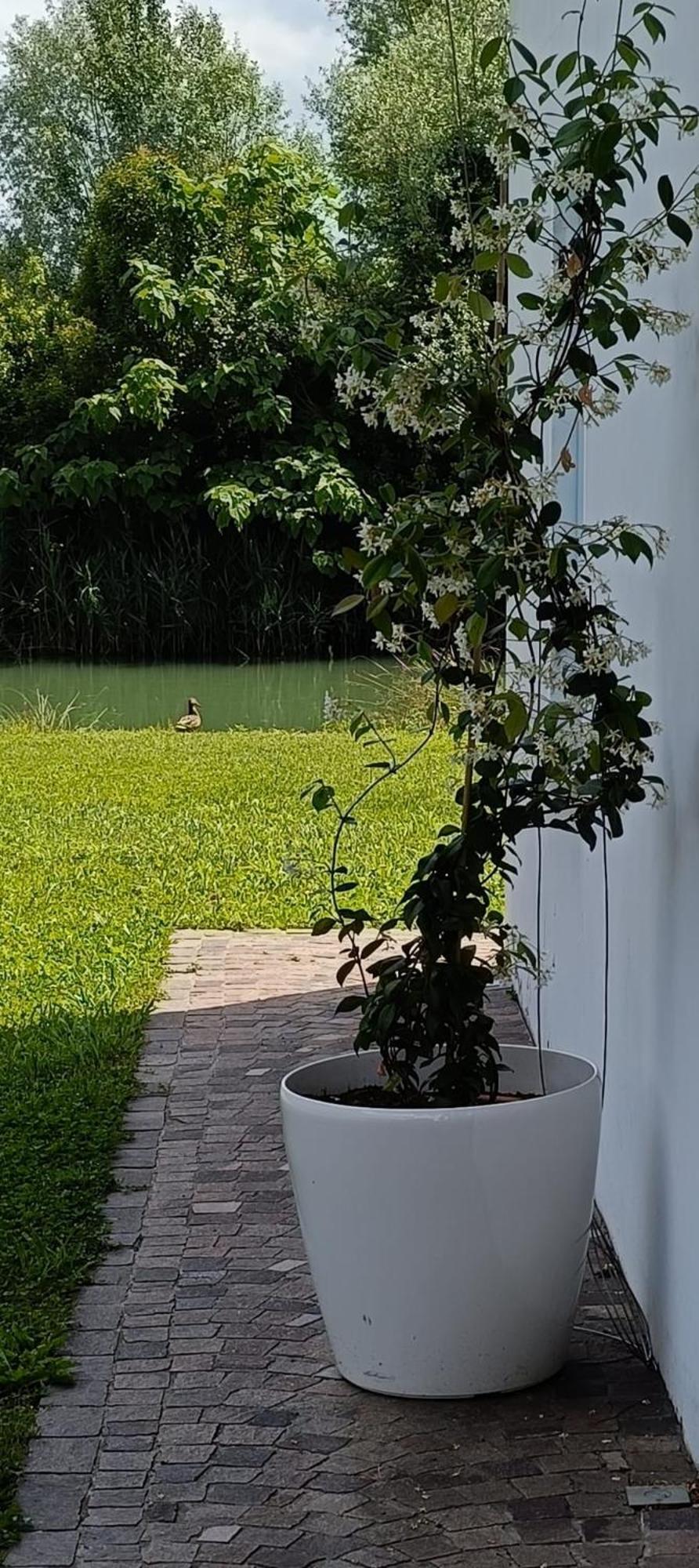 Locazione Riv'Al Sile Hotel Quinto Di Treviso ภายนอก รูปภาพ